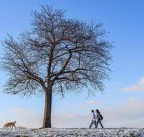 Bien-Zenker - Ihr individuell geplantes Wunschhaus in Seevetal nahe der Elbe