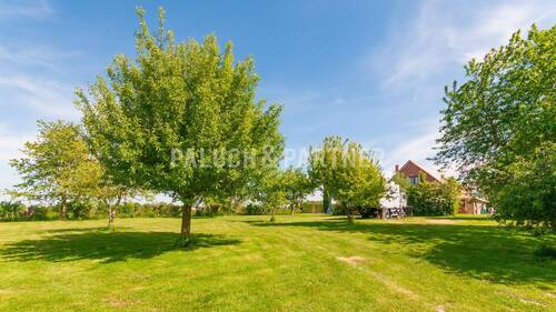 Garten - 
