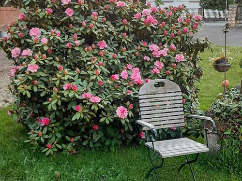 Sommerimpressionen - 