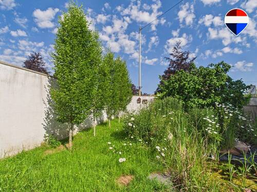 REMAX Immobilien Delux Haus in Losheim am See zu verkaufen - 