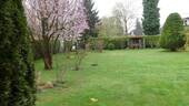 Garten Frühling - 