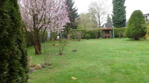 Garten Frühling - 
