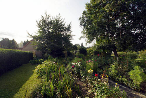 Bild3 - Grundstück in Schkopau-Hohenweiden