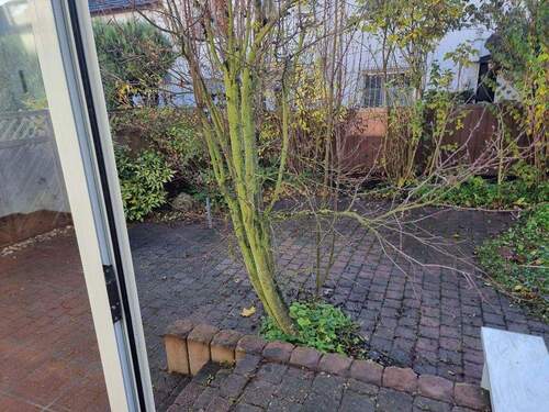 Garten Blick aus Wintergarten - 