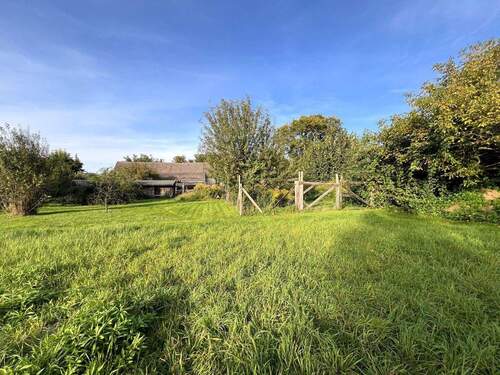 Blick in den Garten - 