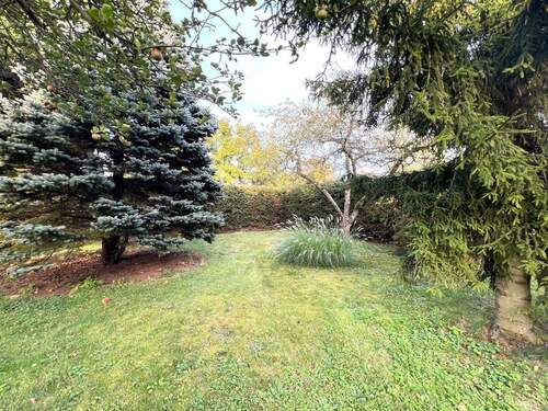 Blick in den Vorgarten - 