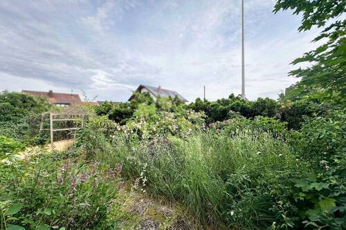 Garten - 