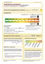 Energieausweis - 
