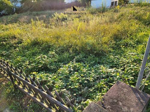 Bewuchs weg - Haus drauf... - Grundstück zum Kaufen in Plüderhausen