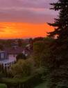 Bild 19 - 