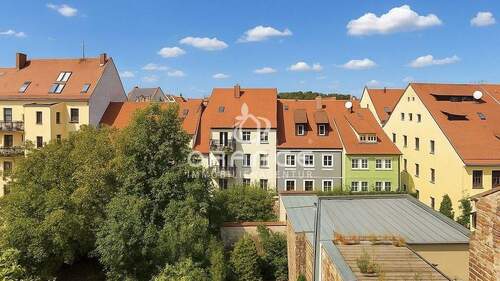 Blick - 