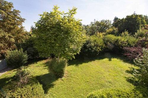 Blick in den Garten - 