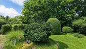 Garten Ansicht II - 