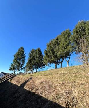 WhatsApp Image 2026-03-19 at 16.26.17 (1).jpeg - 