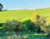 Weitblick-2 - 
