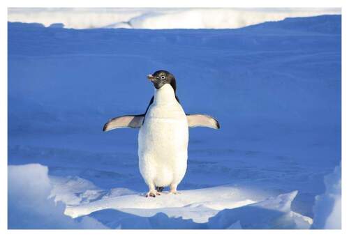 HERZLICH WILLKOMMEN sagt HENSEL IMMOBILIEN! - NOTWENDIG Berliner WBS mit DRINGLICHKEIT: Renovierter NB mit Terrassenloggia