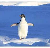 NOTWENDIG Berliner WBS mit DRINGLICHKEIT: Renovierter NB mit Terrassenloggia