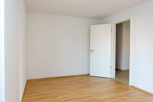 Zimmer - 