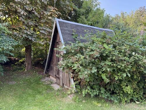 Schuppen - 
