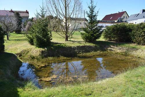 Teich - 
