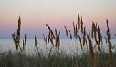 nur wenige Meter zum See - 