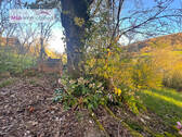 Bild 12 - 