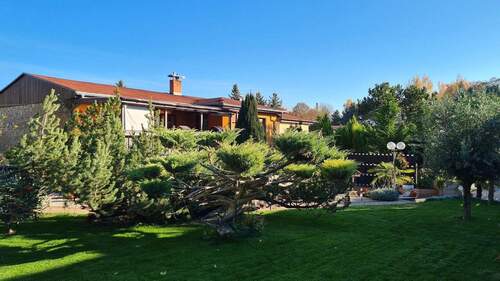 Garten mit Blick auf Terrasse - 