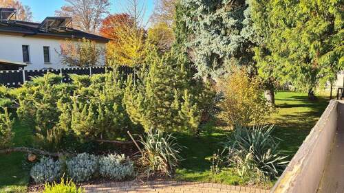 Blick in den Garten - 