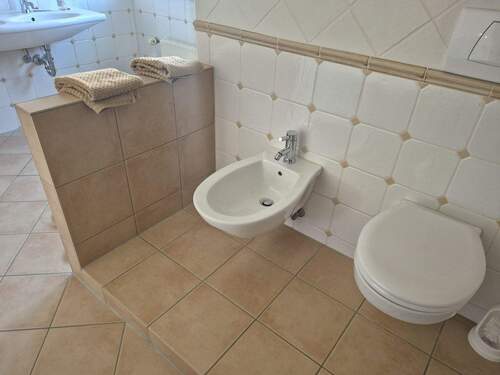 PHOTO-2026-04-02-15-53-17.jpg - 