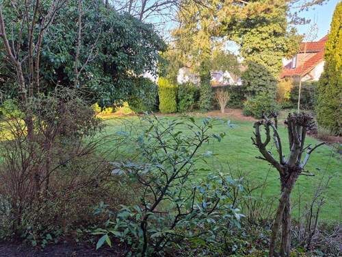 PHOTO-2026-04-02-15-32-24.jpg - 