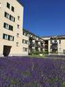 gepflegter Innenhof - 