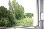 _MG_8419.jpeg - 