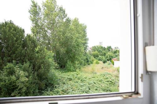 _MG_8419.jpeg - 