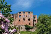 Burg Frankenstein - 