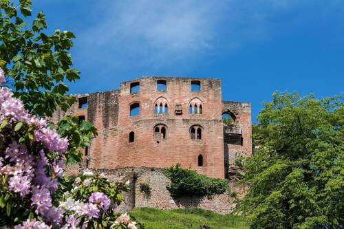 Burg Frankenstein - 