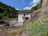 Seitlicher Blick - 