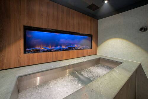 Cold Plunge - 