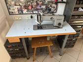 IMG_7641.jpeg - 