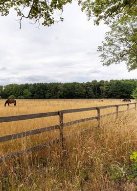 In der Nähe von Pferden - Einfamilienhaus mit 114,00 m² in Stahnsdorf zum Kaufen