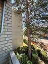 Blick vom Balkon - 