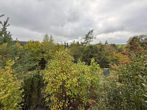 IMG_6786 - Ihre Zukunft im Grünen - Baugrundstück mit einzigartiger Hanglage in Emskirchen