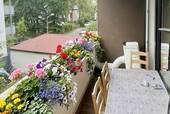 IMG_6493.jpeg - 3-Zimmer-Wohnung mit Balkon - 294.000,00&nbsp;EUR Kaufpreis,