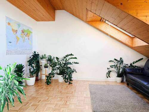 Dach - 