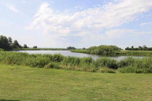die Treene - 