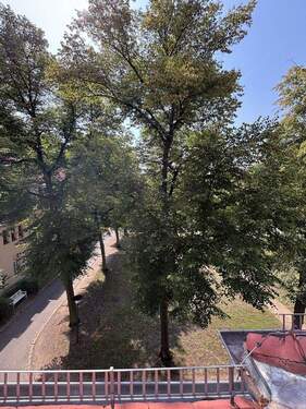 Ausblick aus Schlafzimmer - 2 Zimmer Etagenwohnung zum Kaufen in Berlin