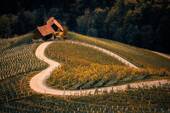 Wohlfühlen in den Weinbergen - 