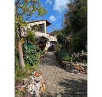 Einfamilienhaus mit Galerie plus Sanierungsobjekt und 2000m² Garten - Wiltingen