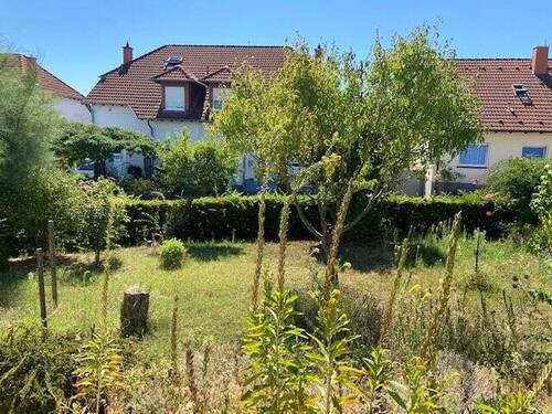 Blick in den Garten - 