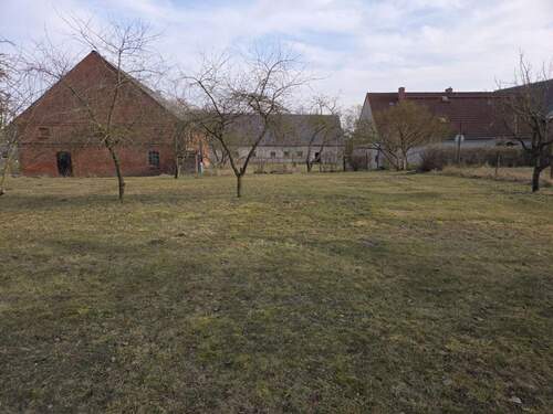 Blick von der Wiese z. Haus - 