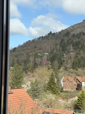 Blick zum Jenzig - 